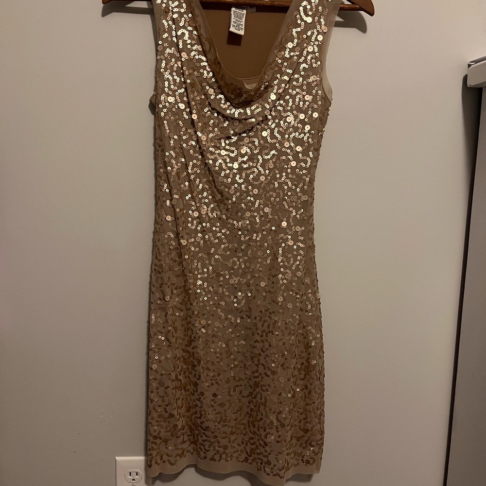 Sequin Champagne Dress